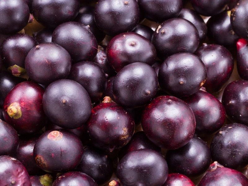 Acai Berry: Health Benefits and Why It’s Trending