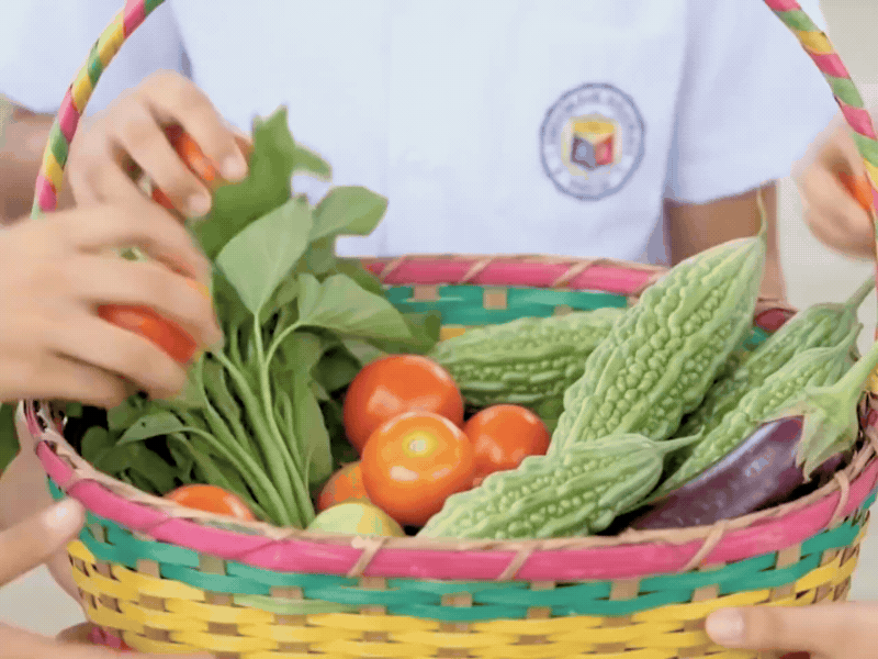Inside Pili Festival: A celebration of Bicol’s prized agriculture